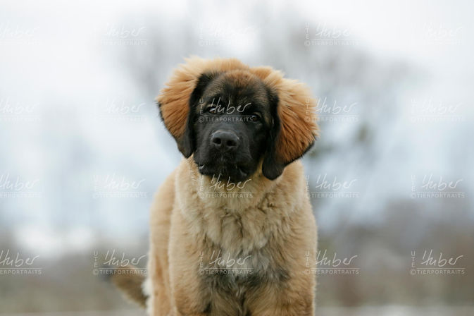 Conny Frida Daysi Ehmchen_2023_01_19_0380_1.jpg