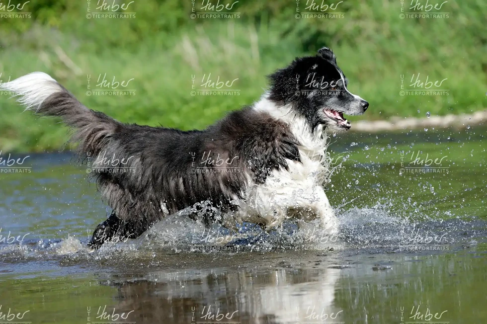 Benny & Basti_2022_09_07_0391_1.webp