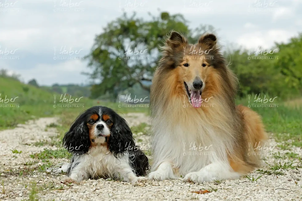 Monty & Sky_2022_09_01_0286_1.webp