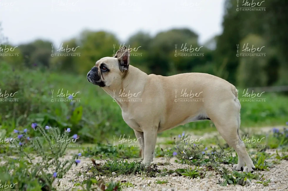 Pebbles & Frederic_2022_09_27_0118_1.webp