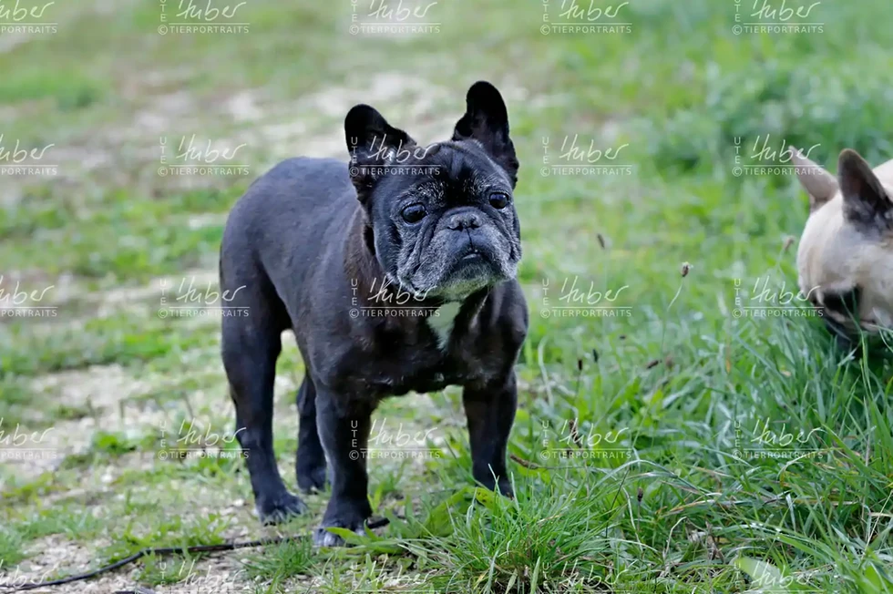 Pebbles & Frederic_2022_09_27_0178_1.webp