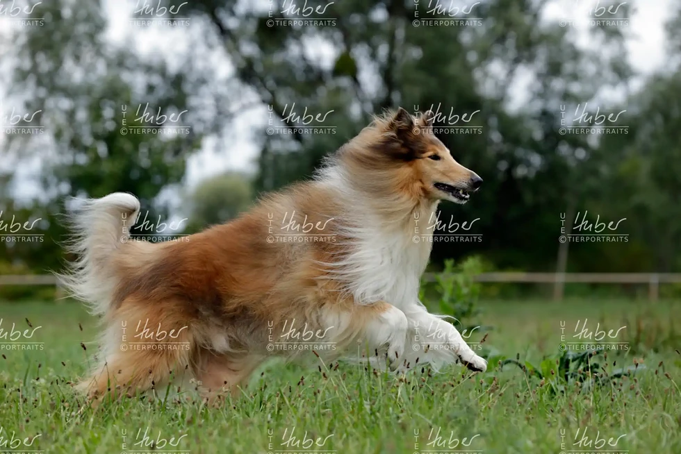 Monty & Sky_2022_09_01_0446_1.webp
