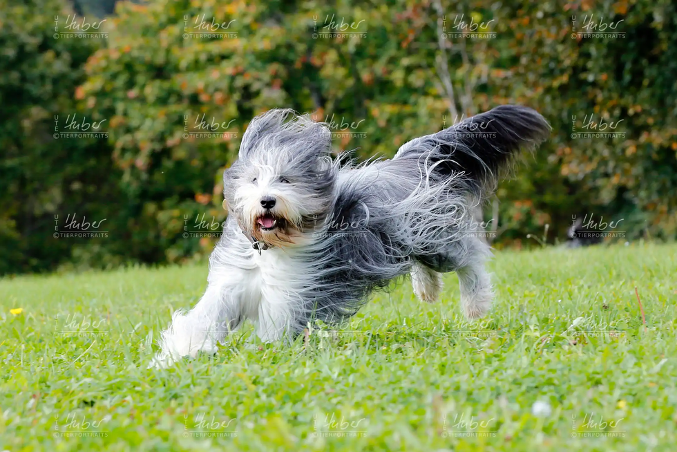 Clara & Maggie_2021_10_07_0016_1.webp
