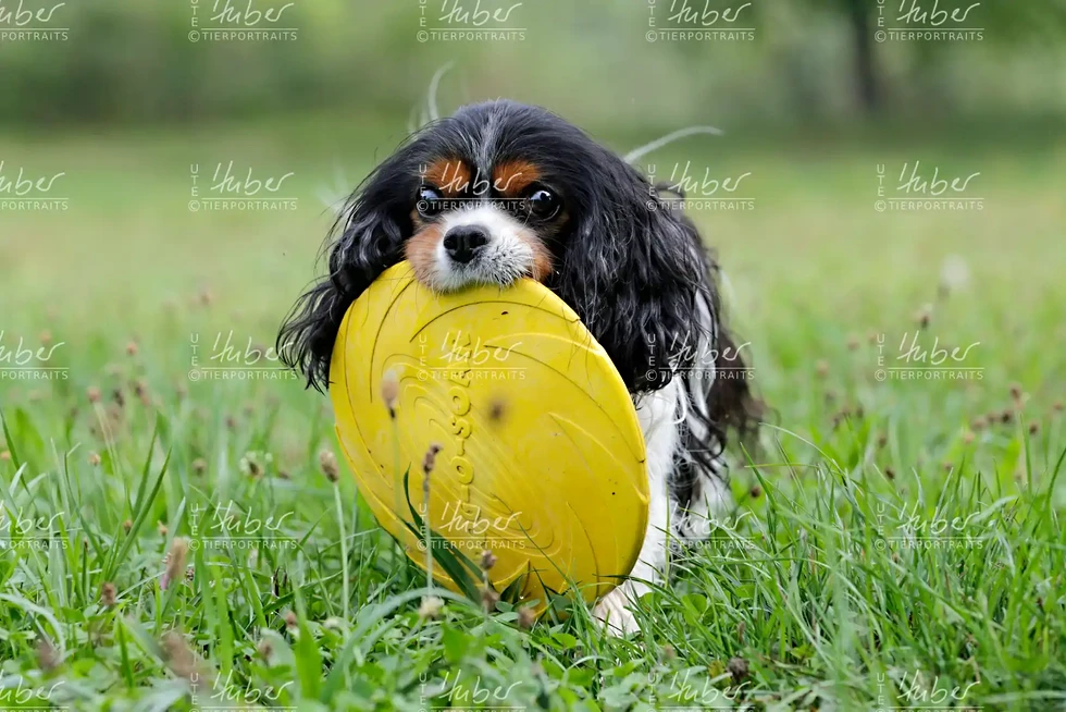 Monty & Sky_2022_09_01_0326_1.webp