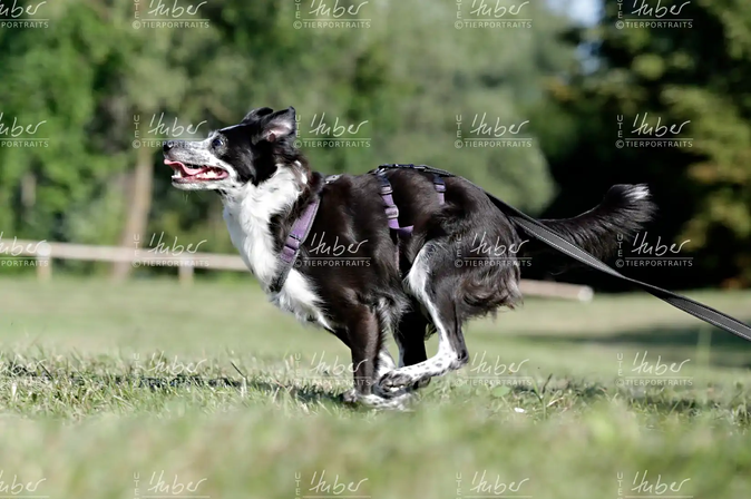 Yuma_2022_07_18_0084_1.webp