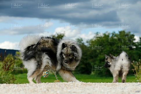 Ulva und Sora_2021_08_06_1873_1.webp