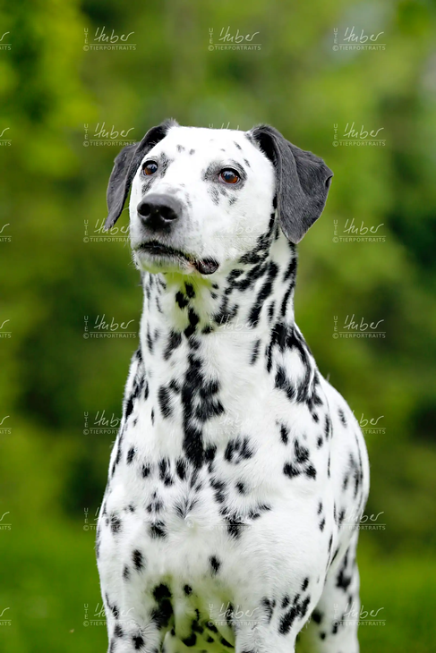 Snoopy_2022_05_26_0268_1.webp
