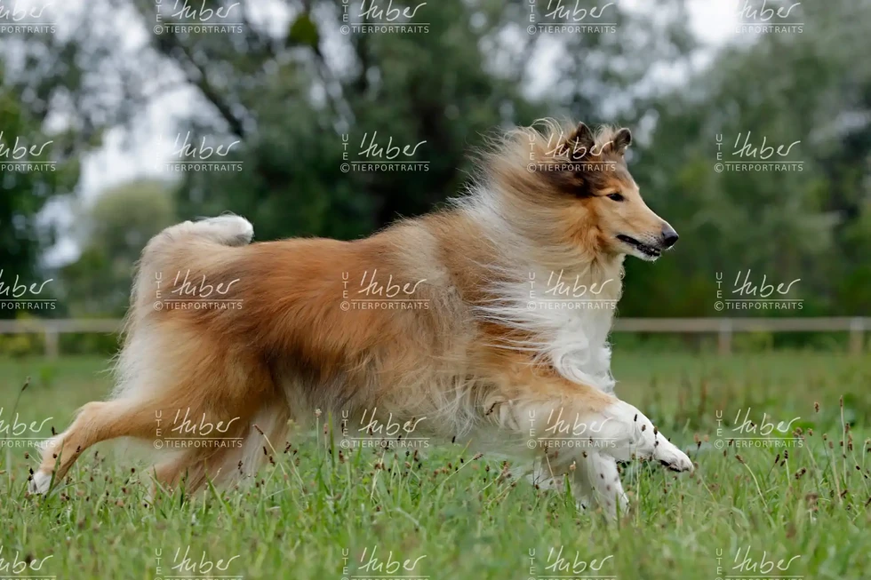 Monty & Sky_2022_09_01_0447_1.webp