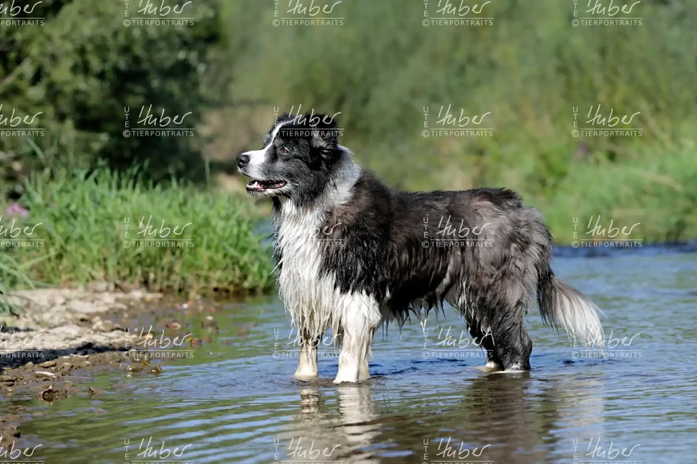 Benny & Basti_2022_09_07_0372_1.webp