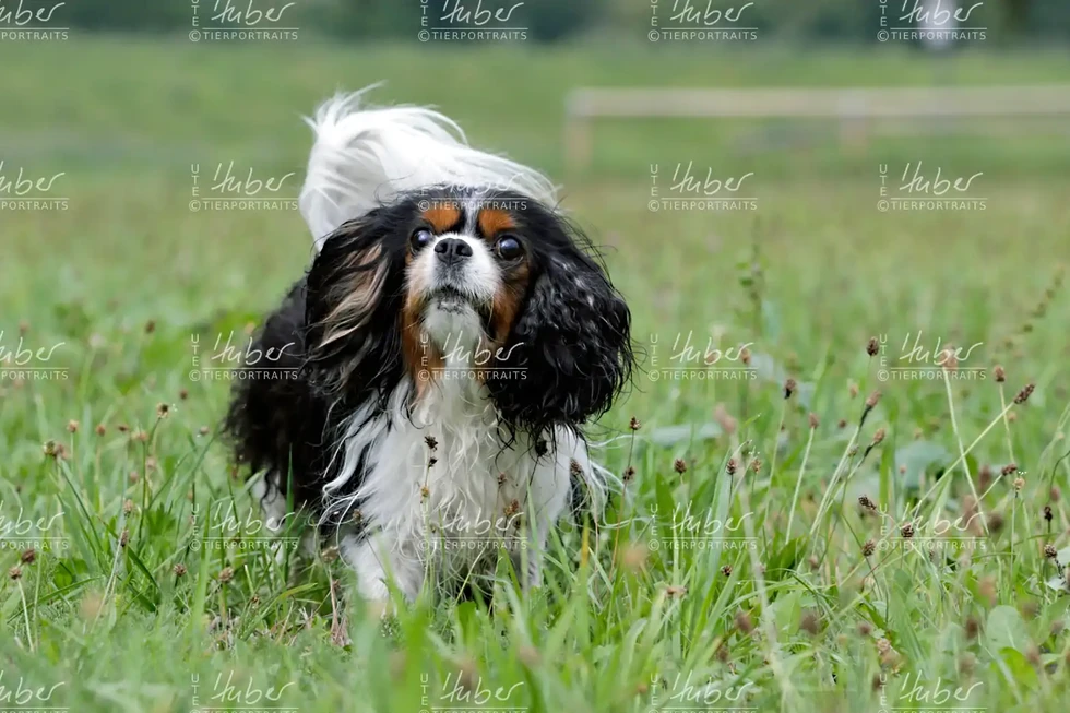 Monty & Sky_2022_09_01_0357_1.webp