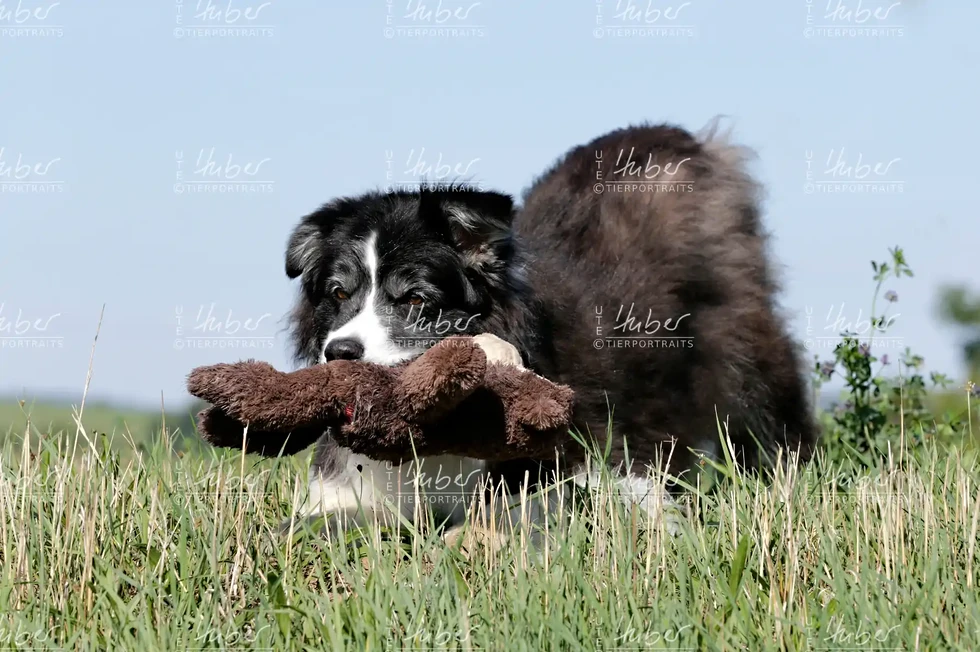 Benny & Basti_2022_09_07_0317_1.webp