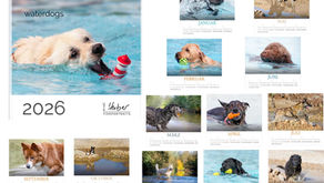 waterdogs 2026 - Gewinner