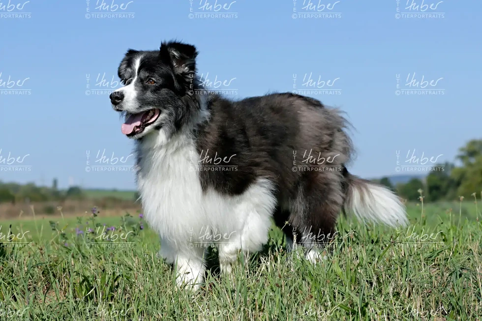 Benny & Basti_2022_09_07_0099_1.webp