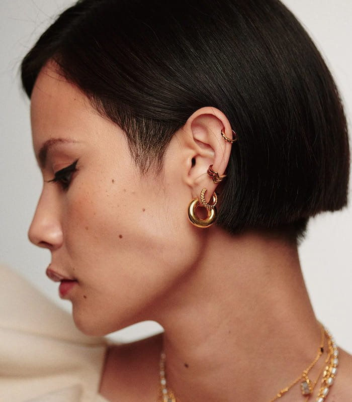 Chubby Small Hoop Earrings