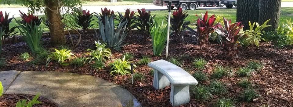 Plant and Paver landscaping design
