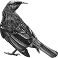 tui_edited.png