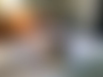 Blog 12 - From a Villa in Grey Lynn - My new dog