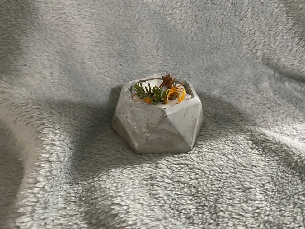 Miniatura: Vela geometrica