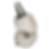 ree