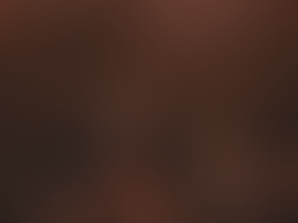 A couple holding hands in the sunset