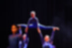 Photo from Aspire Gymnastics show