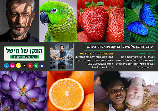 סרגלי התקן חדש.jpg