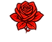 446D533D-9193-4D79-A0D1-FA64B17A1949.PNG