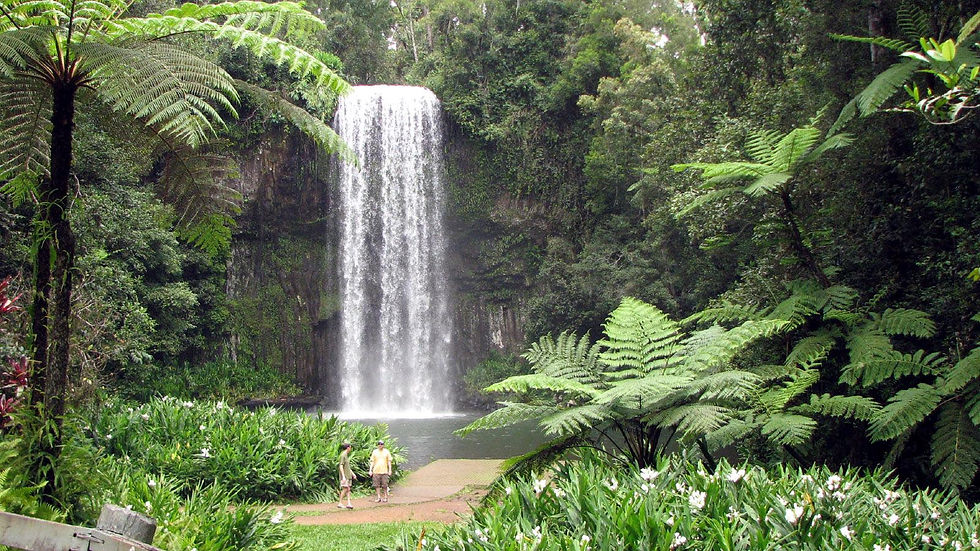 Millaa Millaa Falls Cairns Queensland