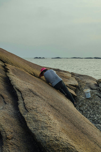 沿海採集職人16.jpg