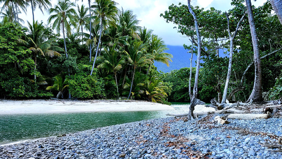 Secluded tropical beach at Cape Tribulation with palm trees, white sand, rocky shore, and calm green water under a cloudy sky.