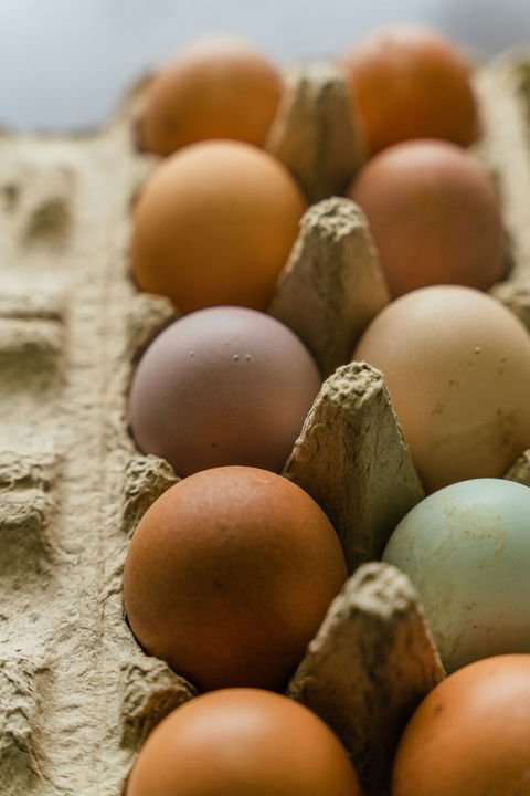 原豐休閒農場 連建安45.jpg