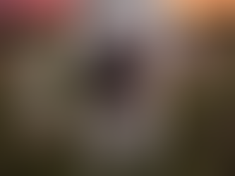 Pets agora podem ser sepultados junto com a família em SP