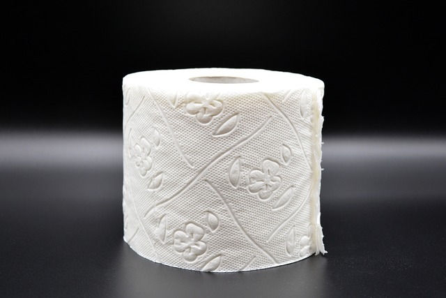 Rolle mit Toilettenpapier