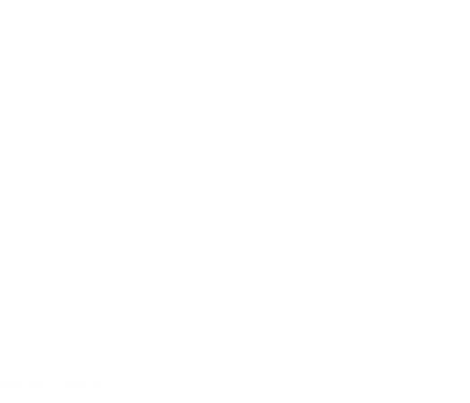 logo-basc-blanco.webp