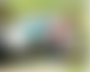 After Care Assistance, Girls Shelter