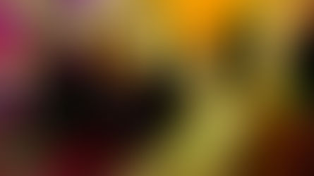 C.I.R.F. Law Enforcement Training