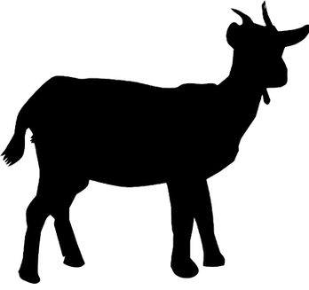 Chicken Silhouette_edited.png