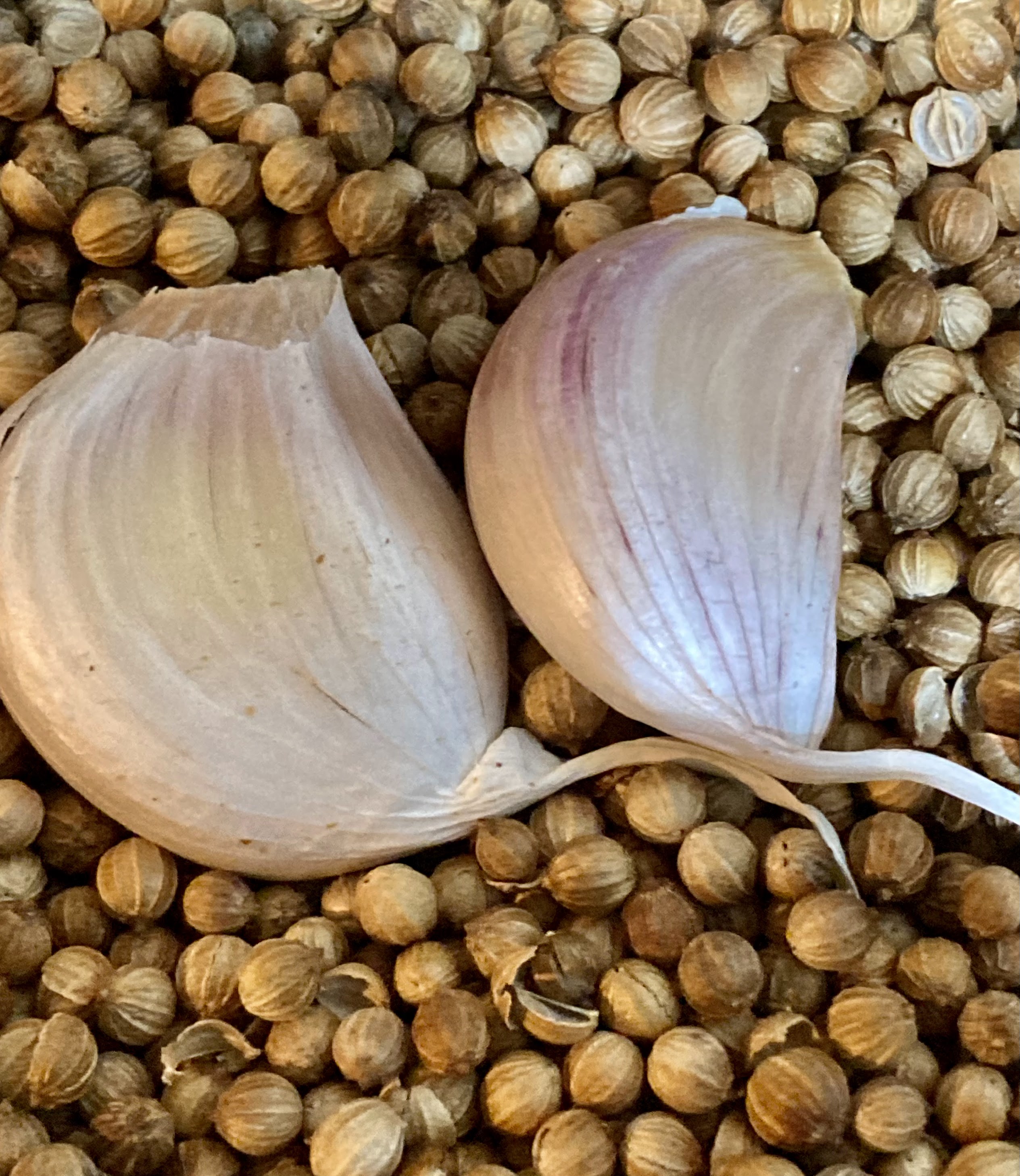 Thumbnail: Garlic & Coriander Seasoning