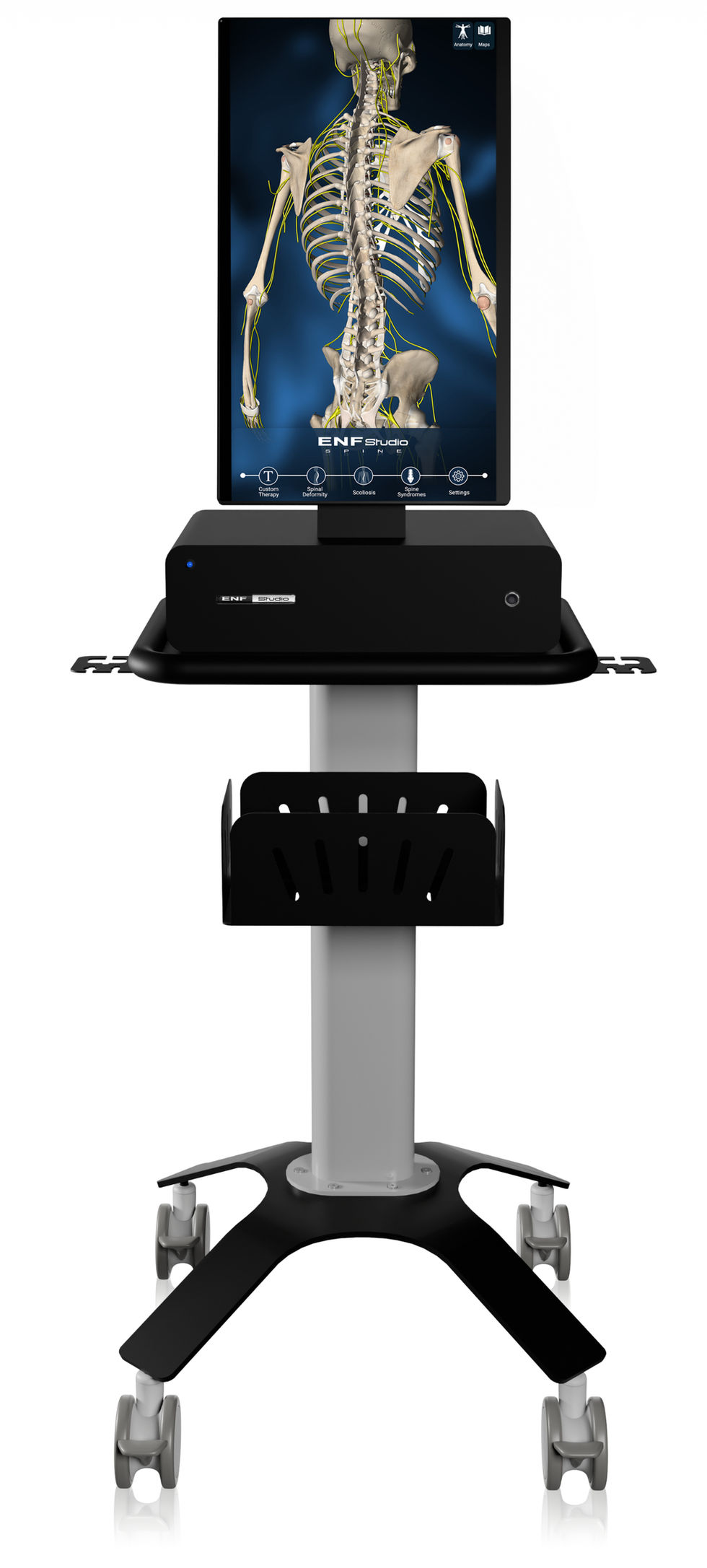 ENF SPINE, hrbtenica, skolioza, kifoza, fizioterapija, ortopedija, manualna terapija