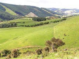 Glenomaru Valley.jpeg