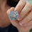 Miniature : Tortue grise (mono boucle)