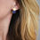Miniature : Lazuli (arrière de lobe)