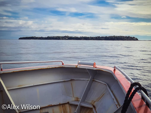 south of france_202116.jpg