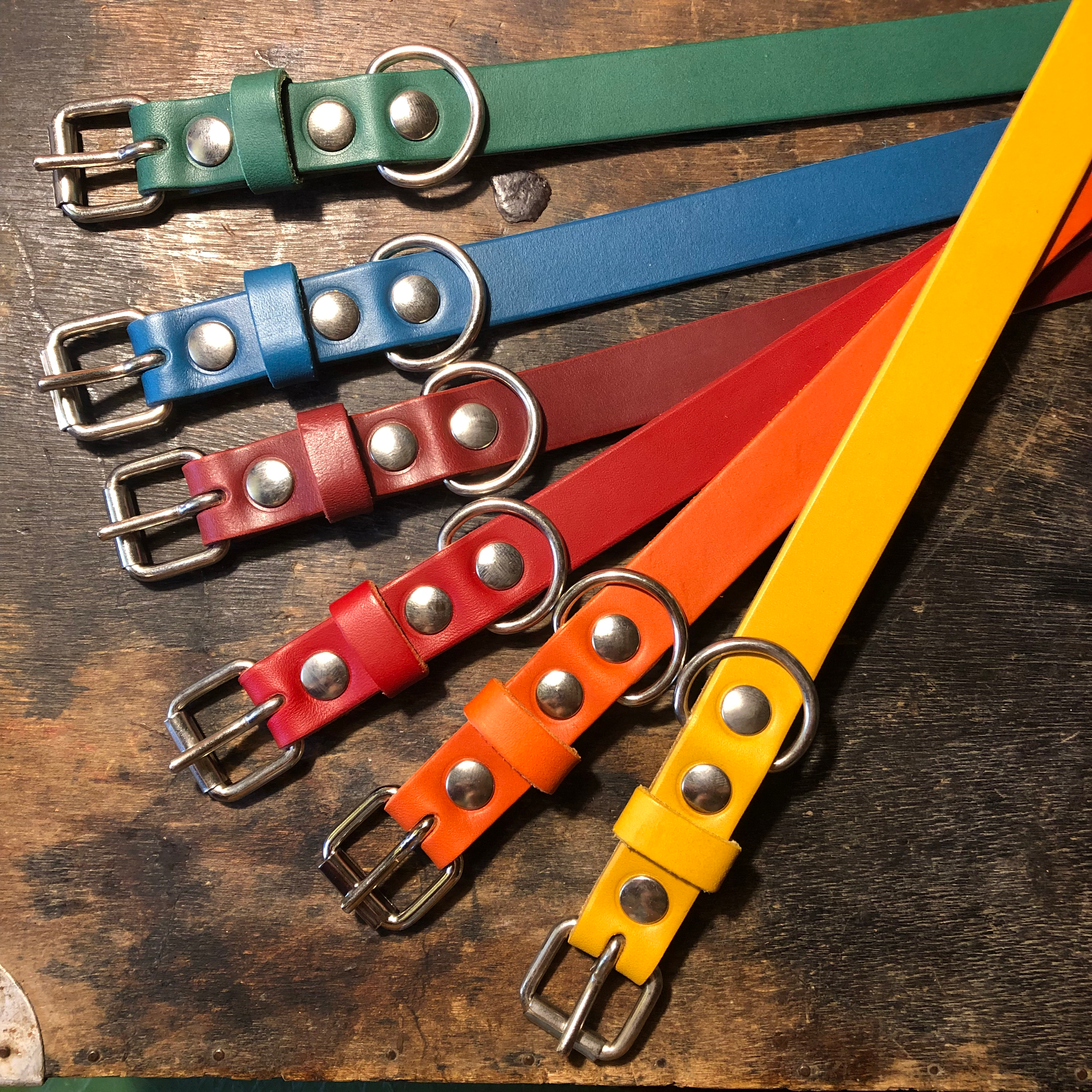 COLLIER CHIEN EN CUIR 2CM