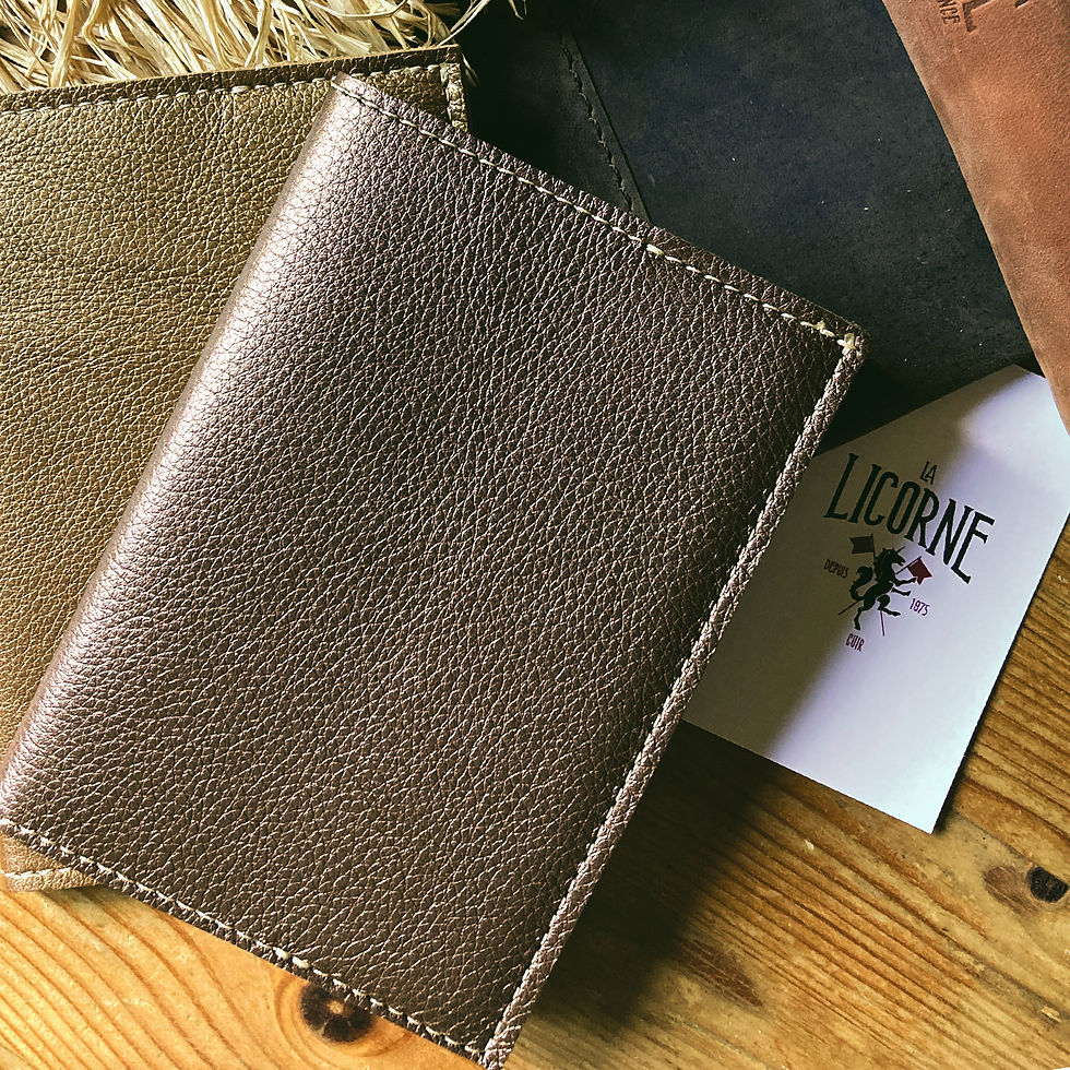 Miniature : ETUI PASSEPORT ET CARNET