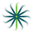 Jackson Jade Speech, Occupational & ABA Therapy Sundial