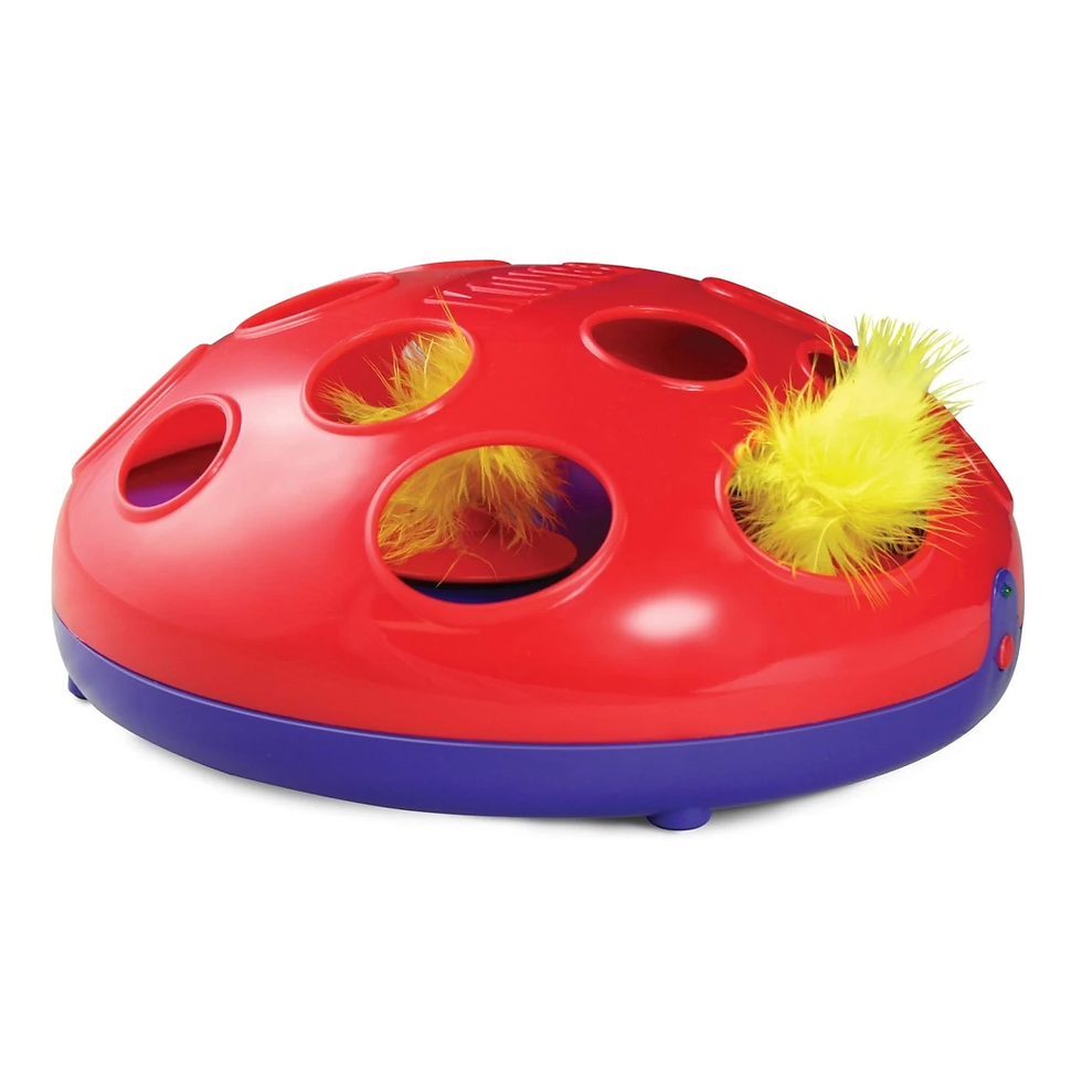 Glide n' Seek - KONG