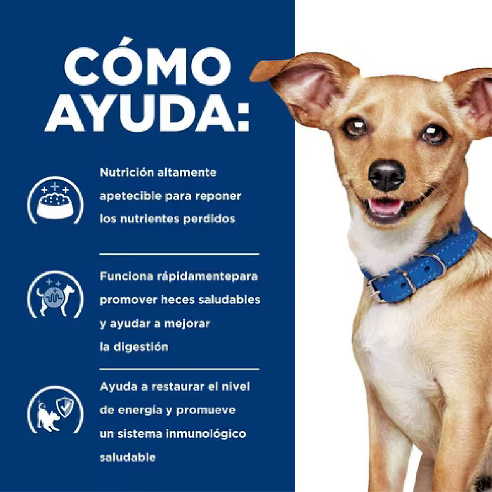 Miniatura: Hill's Prescription Diet Canine i/d Digestive Care Small Bites 3.17 kg