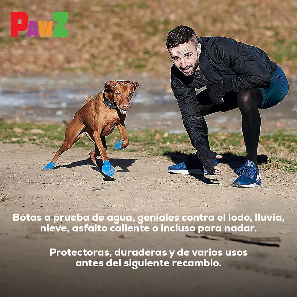 Miniatura: PawZ Rubber Dog Boots Tiny Negro x 12 unidades