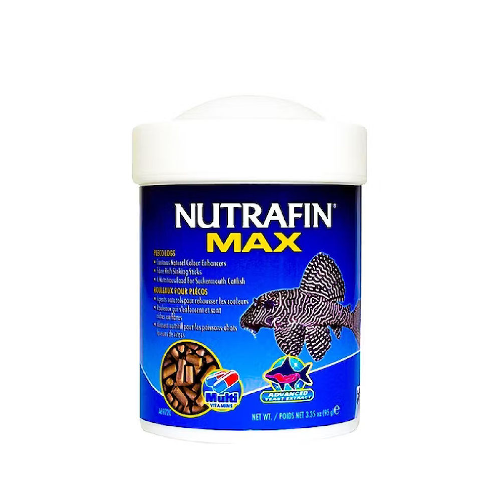 Nutrafin Max Troncos para Plecostomus 95 gr